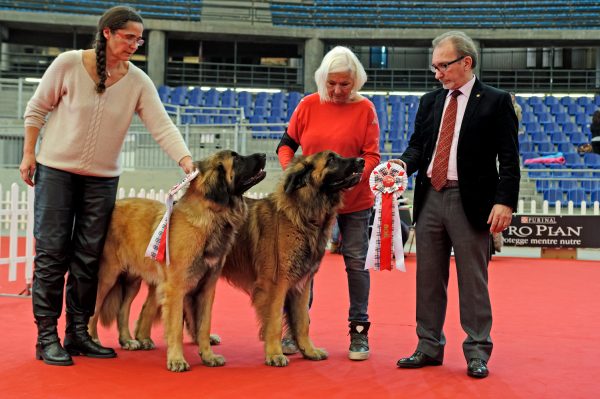 Miglior Maschio e Miglior Femmina