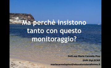 WEBINAR DI OTTOBRE: I RINGRAZIAMENTI!