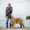 CONGRATULAZIONI A LUIGI E ALLA SUA LEONBERGER MEGAN