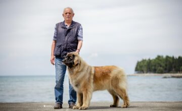 CONGRATULAZIONI A LUIGI E ALLA SUA LEONBERGER MEGAN