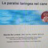 WEBINAR SULLA PARALISI LARINGEA: I NOSTRI RINGRAZIAMENTI