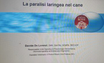 WEBINAR SULLA PARALISI LARINGEA: I NOSTRI RINGRAZIAMENTI