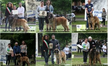 RISULTATI XXVII RADUNO DEL CLUB ITALIANO DEL LEONBERGER