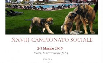 XXVIII Campionato Sociale 2015